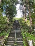 神社のお参り