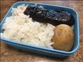 今日のお弁当